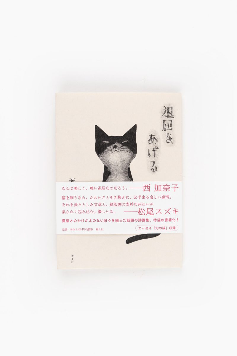 Cat Book 1.1