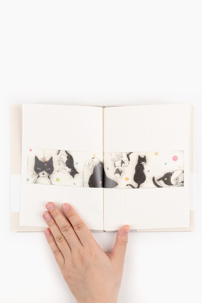 Cat Book 1.2